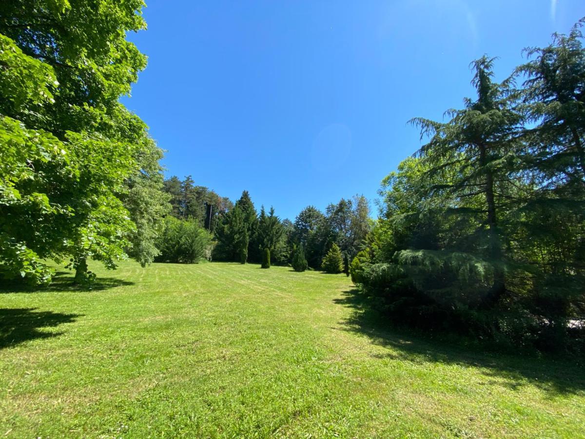 Manoir Et Appartements Avec Piscine Au Domaine De Bize Mirepoix Mirepoix  Kültér fotó