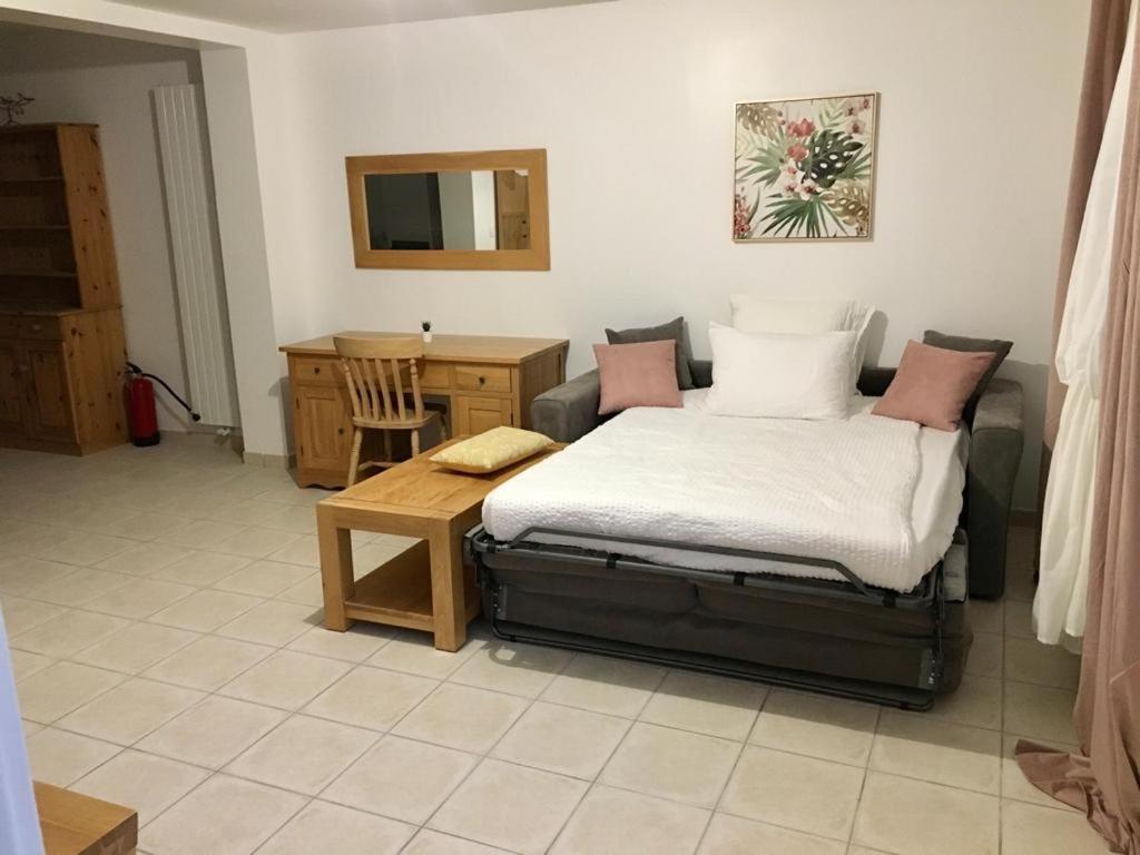 Manoir Et Appartements Avec Piscine Au Domaine De Bize Mirepoix Mirepoix  Kültér fotó