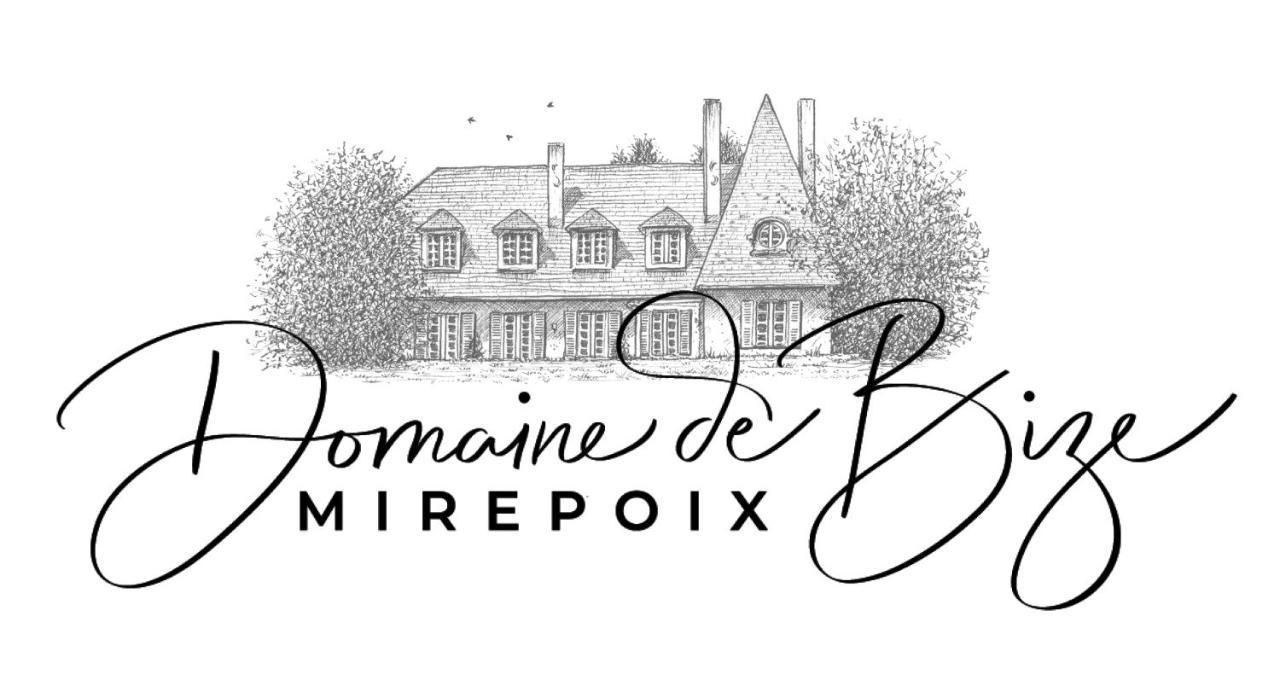 Manoir Et Appartements Avec Piscine Au Domaine De Bize Mirepoix Mirepoix  Kültér fotó