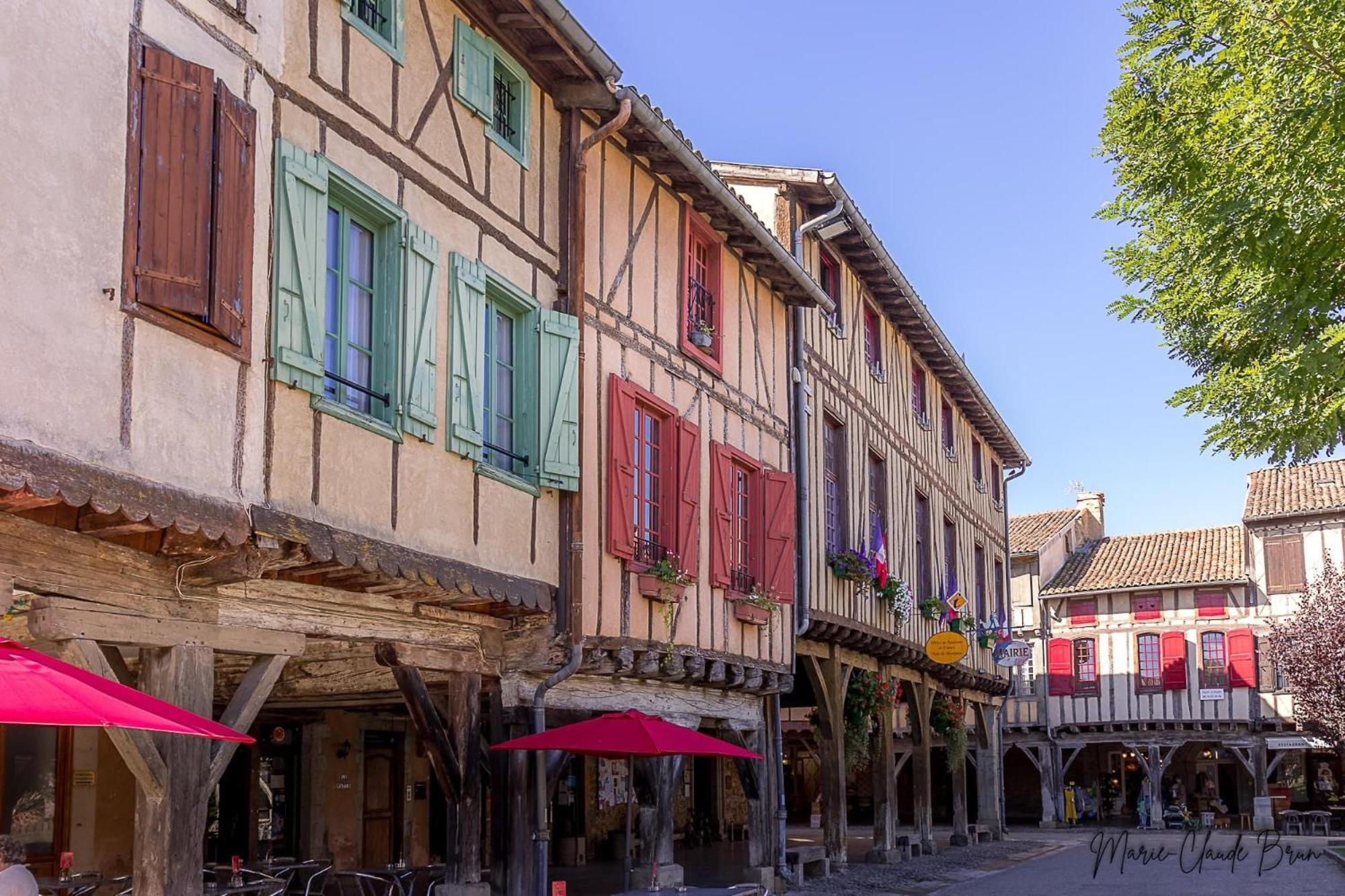 Manoir Et Appartements Avec Piscine Au Domaine De Bize Mirepoix Mirepoix  Kültér fotó